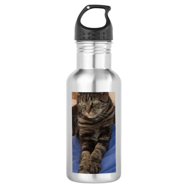 Regal Dave Custom Water Bottle (710 ml), White (Front)