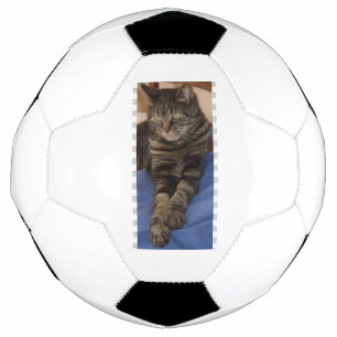 Regal Dave Football