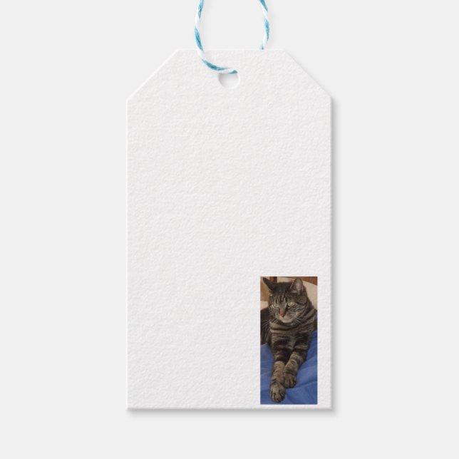 Regal Dave Gift Tag (Front)