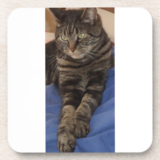 Regal Dave Hard Plastic Coasters with Cork Backs (Front)