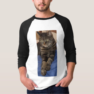 Regal Dave Men's Raglan T-shirt
