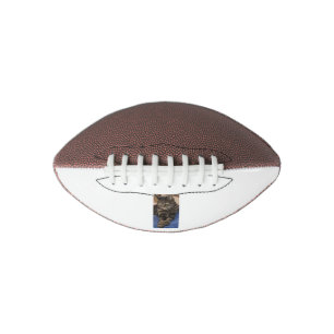 Regal Dave Mini American Football