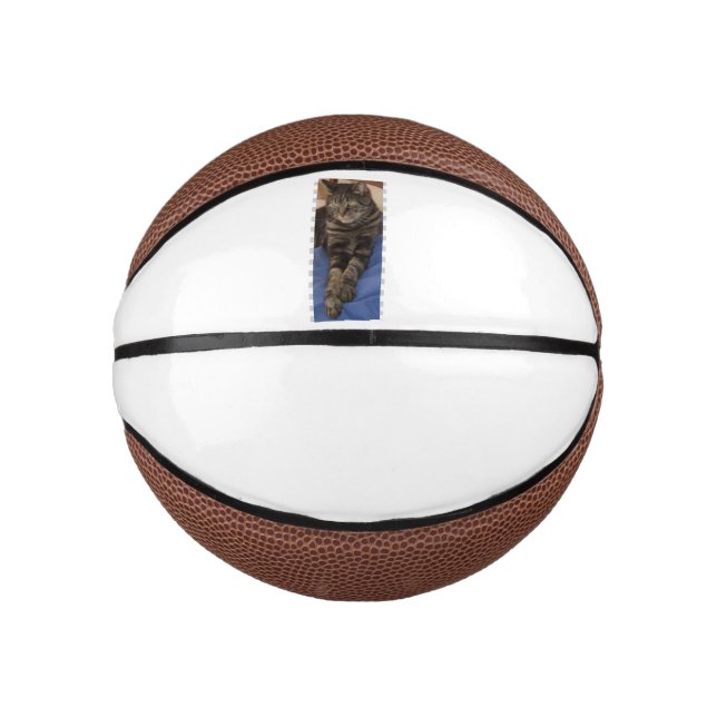 Regal Dave Mini Mini Basketball (Front)