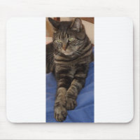 Regal Dave Mousepad