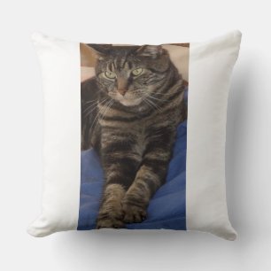 Regal Dave Polyester Cushion