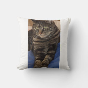 Regal Dave Polyester Cushion 41 cm x 41