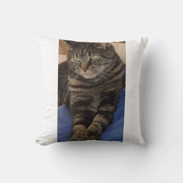 Regal Dave Polyester Cushion 41 cm x 41 (Front)