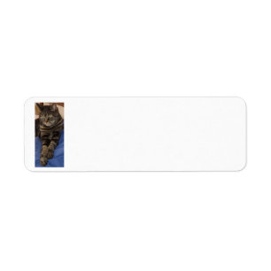 Regal Dave Return Address Labels