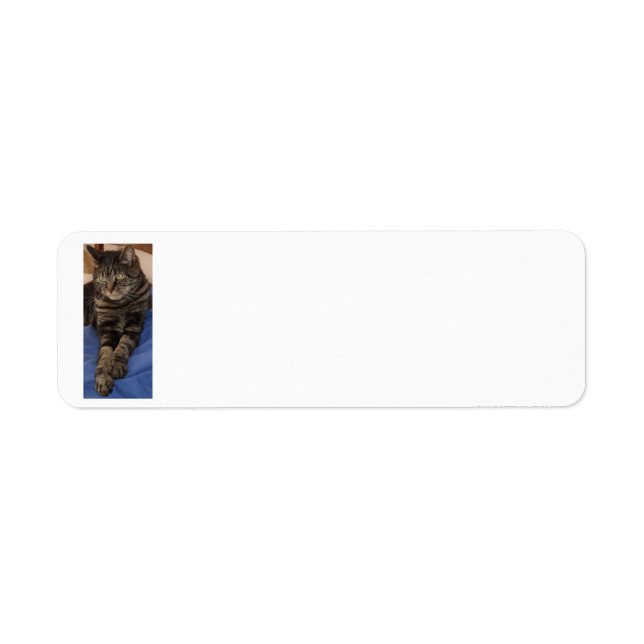 Regal Dave Return Address Labels (Front)