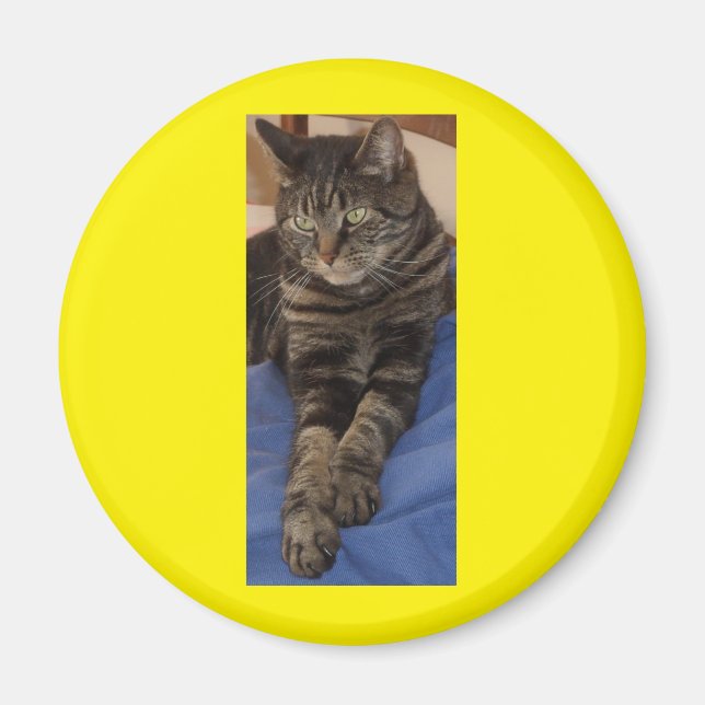 Regal Dave Round Magnet (Front)