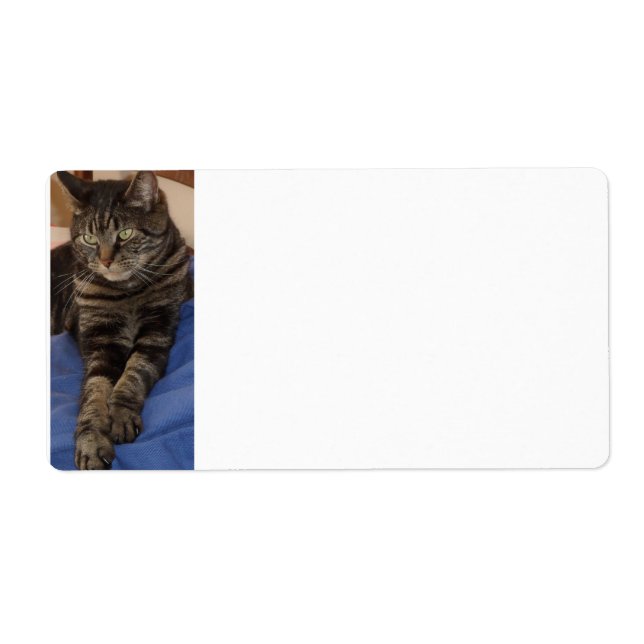 Regal Dave Sipping Labels (Front)