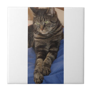 Regal Dave Small Ceramic Photo Tile
