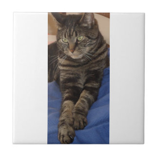 Regal Dave Small Ceramic Photo Tile
