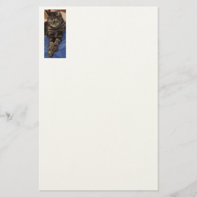 Regal Dave Stationery (Front)
