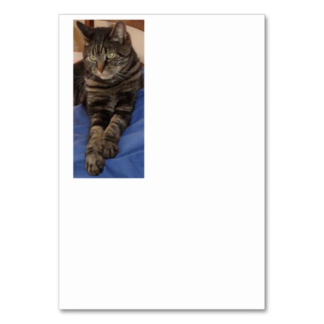 Regal Dave Table Card (Front)