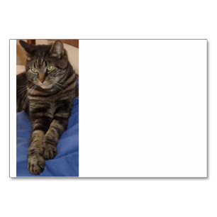 Regal Dave Table Cards