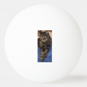 Regal Dave Three Star Ping Pong Ball