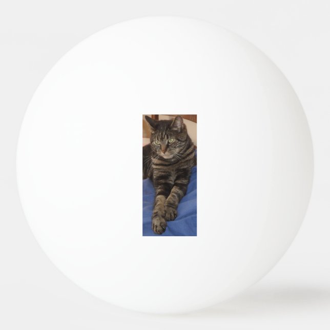 Regal Dave Three Star Ping Pong Ball (Front)