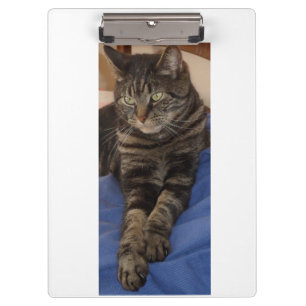 Regal Dave Ultra Sturdy A4 Clipboard