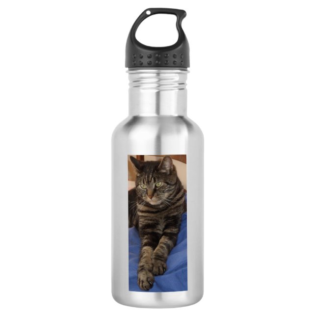 Regal Dave Water Bottle (532 ml), Stainless Steel (Front)