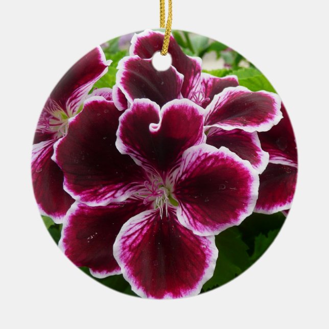 Regal Geranium Flowers Elegant Maroon Floral Lugga Ceramic Tree Decoration (Front)