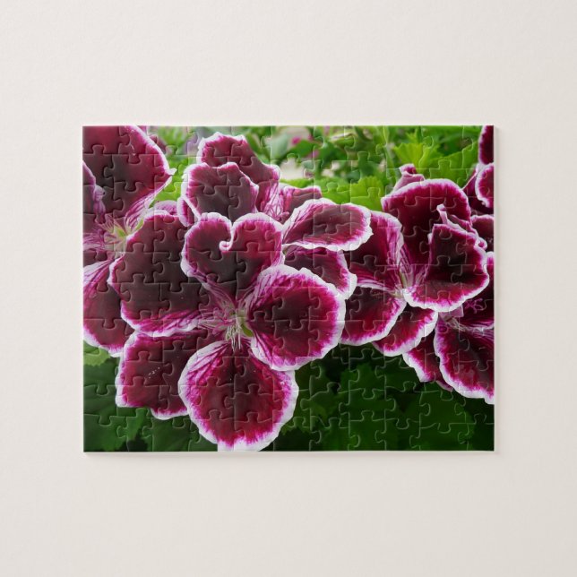 Regal Geranium Flowers Elegant Maroon Floral Lugga Jigsaw Puzzle (Horizontal)
