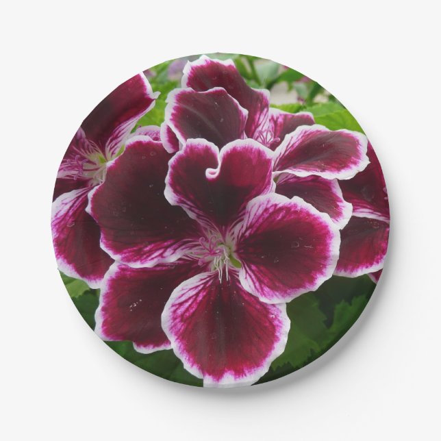 Regal Geranium Flowers Elegant Maroon Floral Lugga Paper Plate (Front)