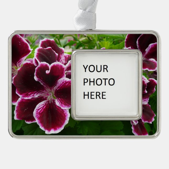 Regal Geranium Flowers Elegant Maroon Floral Lugga Silver Plated Framed Ornament (Front)