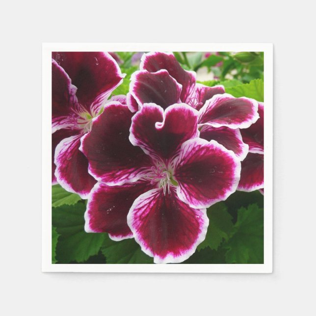 Regal Geranium Flowers Elegant Maroon Floral Napkin (Front)