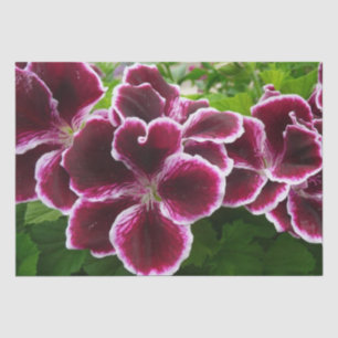 Regal Geranium Flowers Elegant Maroon Floral Tissue Paper