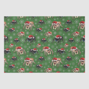 Regal Jumping Spider Phiddipus Regius Holiday Moss Tissue Paper