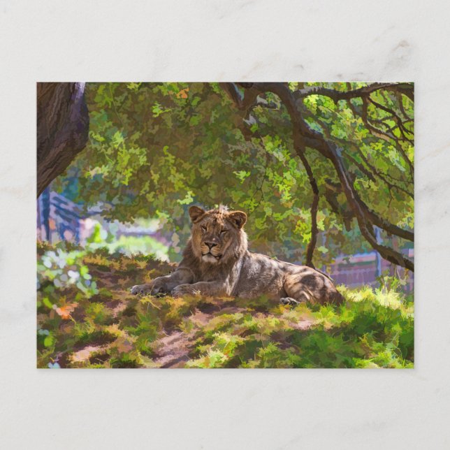 REGAL LION POSTCARD (Front)