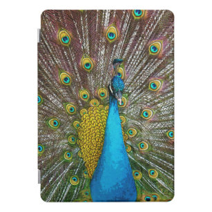 Regal Peacock Bird with Teal and Gold Plumage iPad Pro Cover