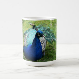 Regal Peacock Power Coffee Mug
