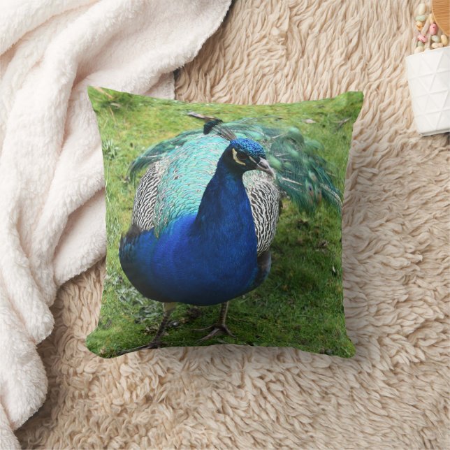 Regal Peacock Power  Cushion (Blanket)