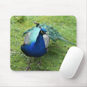 Regal Peacock Power Mouse Mat