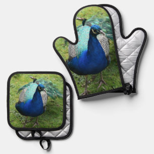 Regal Peacock Power Oven Mitt & Pot Holder Set