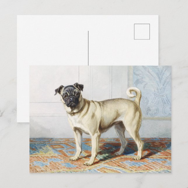 Regal Pug Dog Portrait by Conradijn Cunaeus Postcard (Front/Back)