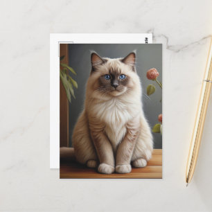 Regal Ragdoll Cat Portrait Fluffy Blue Eyed  Postcard