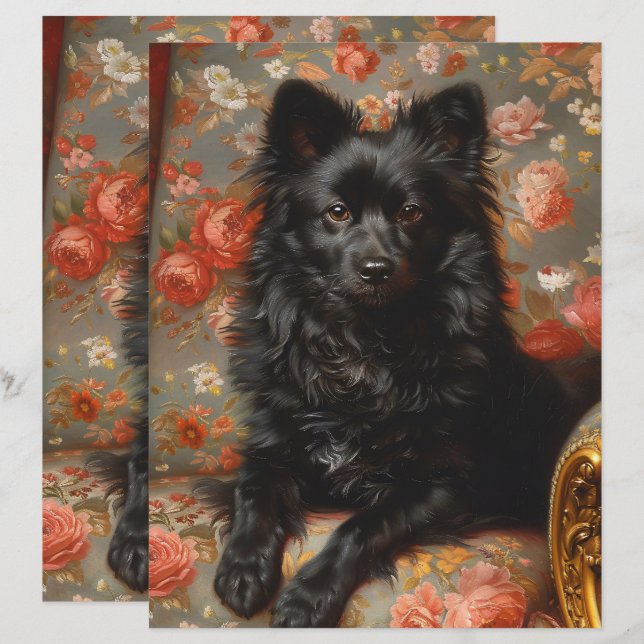 Regal Schipperke Dog Vintage Scrapbook Paper (Front/Back)