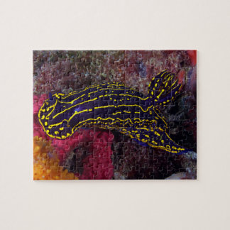 Regal Sea Goddess Nudibranch Felimare picta Jigsaw Puzzle