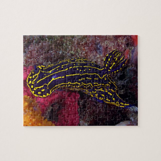 Regal Sea Goddess Nudibranch Felimare picta Jigsaw Puzzle (Horizontal)
