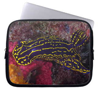 Regal Sea Goddess Nudibranch Felimare picta Laptop Sleeve