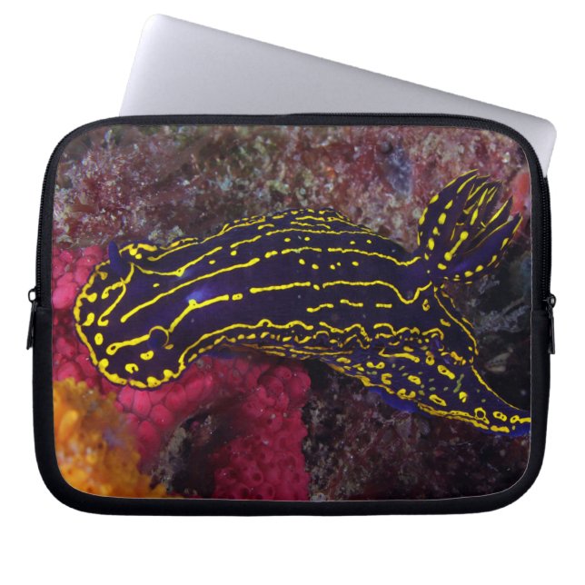 Regal Sea Goddess Nudibranch Felimare picta Laptop Sleeve (Front)