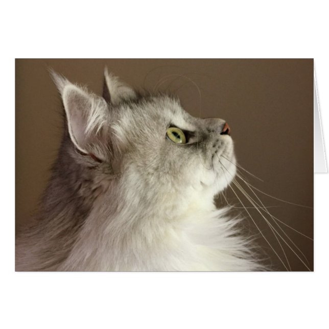Regal Siberian Portrait Blank Card (Front Horizontal)