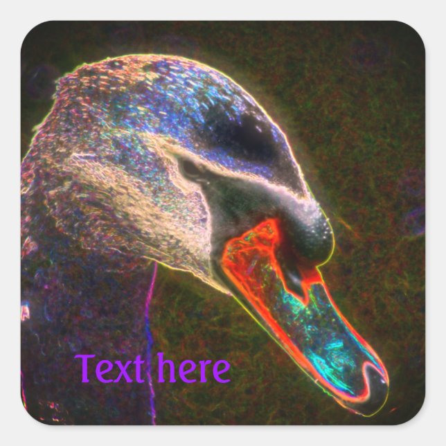 Regal Swan Abstract Art Nature Personalised Square Sticker (Front)