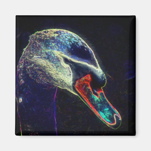 Regal Swan Abstract Nature Art Magnet (Front)