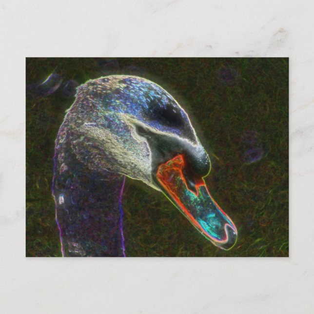 Regal Swan Digital Art Nature Photography Postcard (Front)