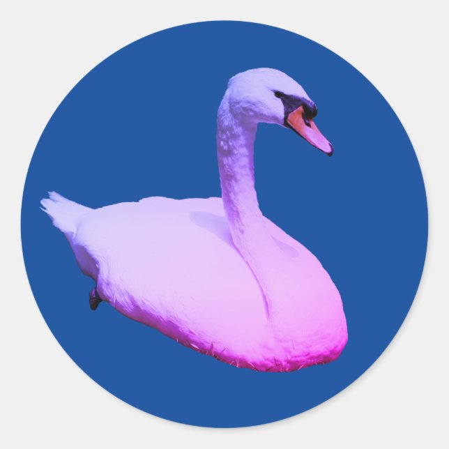 Regal Swan Wildlife Animal Tinted Classic Round Sticker (Front)