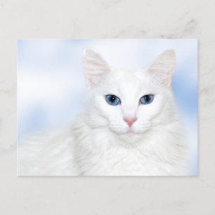 Regal white cat postcard